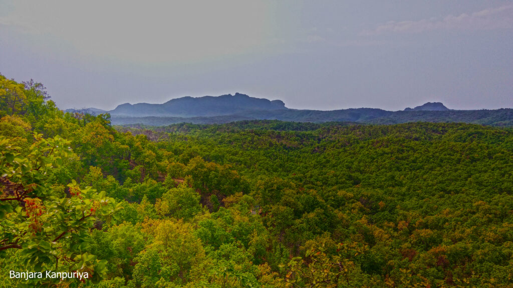 Sensational Pachmarhi: A Voyage Through Time and Wilderness | 2N3D in pachmarhi